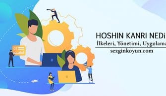 Hoshin Kanri Nedir? İlkeleri, Yönetimi, Uygulanması